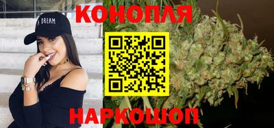 spice Новодвинск