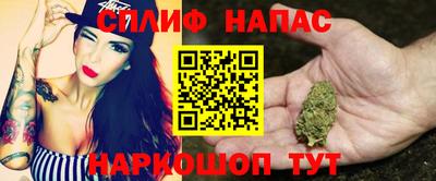 spice Новодвинск