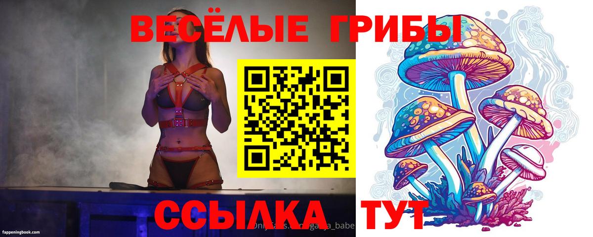 Псилоцибиновые грибы GOLDEN TEACHER Пыть-Ях